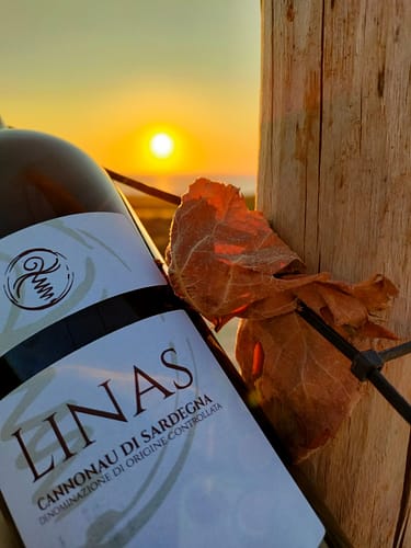 degustazione di vini al tramonto azienda roccabianca