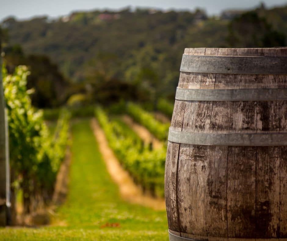 wine and bike tour tra castelsardo e sorso